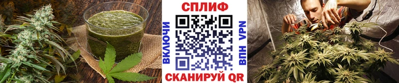 Еда ТГК конопля  Купить закладки  Энем 