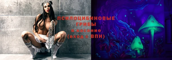 spice Нязепетровск