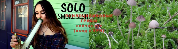 spice Нязепетровск